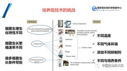 培養組通幽微世界，助力微生物資源大作為——記國家微生物科學數據中心網絡精品課網絡技術開發